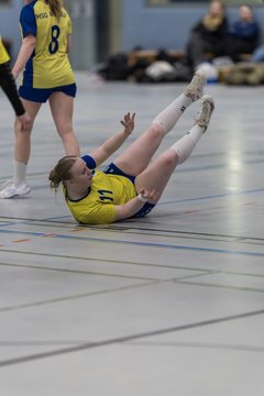 Bild 226 - F HSG Pinnau2 - Rellinger TV2 : Ergebnis: 27:20